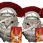 Cat Sheild GIF Template