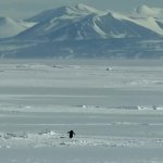 Penguin mountains GIF Template