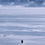 Penguin and mountain