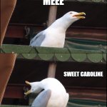 Inhaling Seagull | TOUCHING; MEEE; SWEET CAROLINE; BUM BUM BUM | image tagged in memes,inhaling seagull | made w/ Imgflip meme maker