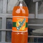 concordia drink