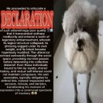 He proceeded to articulate a declaration template