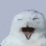 when your bird wants to moan