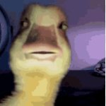 when you catch your wife ditching you for no reason