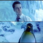 fight club penguin