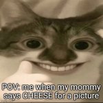 CHEESE!!! | POV: me when my mommy says CHEESE for a picture | image tagged in memes,funny,fun,funny cats,smile,lol | made w/ Imgflip meme maker