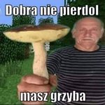 Dobra nie pierdol masz grzyba