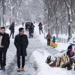 Homeless Cordwood in NY