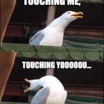 GOOD TIMES HAVE NEVER SEEMED SO GOOD!!!! | REACHING OUT... TOUCHING ME, TOUCHING YOOOOOU... SWEEEEEET CAROLINEEEEE!!!! | image tagged in memes,inhaling seagull | made w/ Imgflip meme maker