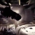 Mickey getting dragged to hell meme