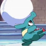 Totodile biting snowball