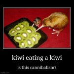 Well you don't see that everyday | kiwi eating a kiwi | is this cannibalism? | image tagged in funny,demotivationals,kiwi,cannibalism | made w/ Imgflip demotivational maker