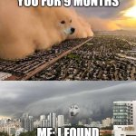 dust storm 2 panels | MOM: I CARRIED YOU FOR 9 MONTHS; ME: I FOUND ME ADOPTION PAPERS | image tagged in dust storm 2 panels | made w/ Imgflip meme maker
