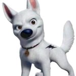 Bolt The White Dog