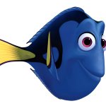 Dory
