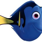 Dory