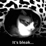 It's Bleak Cat meme
