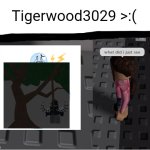 NOOO NOT BUBBLE PAINFUL !NFL@TI0N | Tigerwood3029 >:( | image tagged in what did i just see,i want to die,wtf,society sucks,bfdi,oh no cringe | made w/ Imgflip meme maker