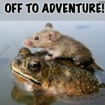 The start of a fairy tale? | OFF TO ADVENTURE! | image tagged in mouse riding frog | made w/ Imgflip meme maker