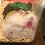 pov you are food on display under the glass in the diner