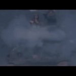 Furry sherman GIF Template