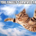 Enjoy your weekends before it’s Monday again | POV: YOU FINALLY SURVIVED FRIDAY | image tagged in flying-cat,friday | made w/ Imgflip meme maker