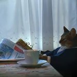 I Should Buy a Boat (Restored)