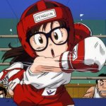 Arale boxe