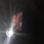 I want to believe under the sea