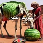 أحب مص الثديين meme