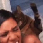 Bad rat GIF Template