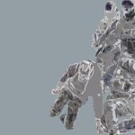 Alex Pretti ice border patrol Minnesota