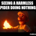 It could've jumped on my face and crawled into my ear | SEEING A HARMLESS SPIDER DOING NOTHING: | image tagged in gifs,memes,funny,relatable,animals | made w/ Imgflip video-to-gif maker