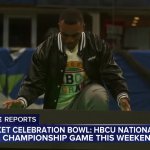 cricket GIF Template