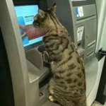 cat atm