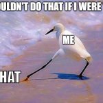 I wouldn't do that | I WOULDN'T DO THAT IF I WERE YOU. ME; THAT | image tagged in i wouldn't do that,that,crane | made w/ Imgflip meme maker