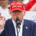 Making Anarchy Great Again