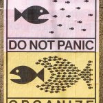 Do not Panic - Organize