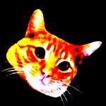 Thoughts when accessing the single Orange Cat Brain template