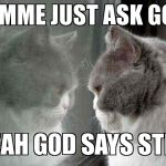 god cat | LEMME JUST ASK GOD YEAH GOD SAYS STFU | image tagged in god cat | made w/ Imgflip meme maker