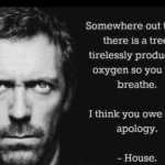 somewhere out there is a tree meme