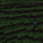 Pillager Patrol meme