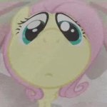 Fluttershy fisheye GIF Template