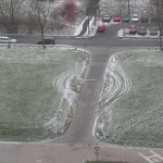 Cheating vehicle gate