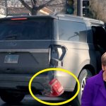 The Story Of Alex Pretti meme