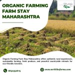 Organic Farming Farm Stay Maharashtra