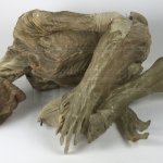 Super old and depressed or tired