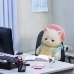 Sad Work Cat