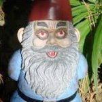 stoned gnome
