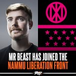 Mrbeast Has Joined The Nammu Liberation Front